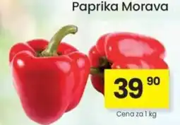 Kubík potraviny Paprika Morava nabídka