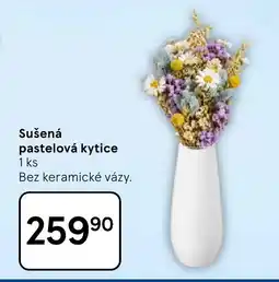 Tesco Sušená pastelová kytice nabídka