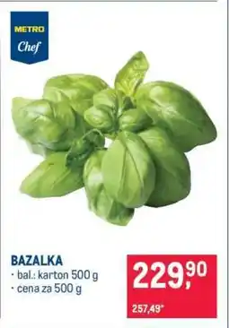 Makro Bazalka nabídka