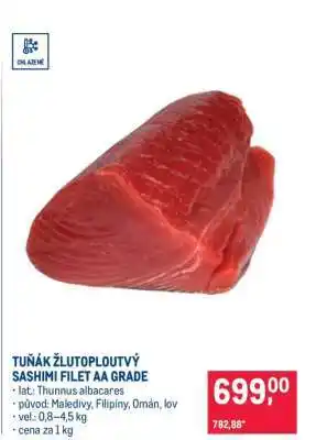Makro Tuňák žlutoploutvý Sashimi filet AA grade nabídka