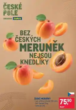 Makro ČESKÉ MERUŇKY nabídka