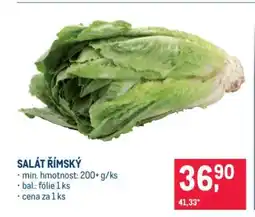 Makro Salát římský nabídka