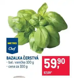 Makro BAZALKA ČERSTVÁ nabídka