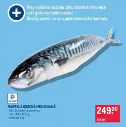 Makro Makrela obecná nekuchaná nabídka
