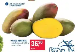 Makro MANGO KENT RTE nabídka