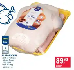 Makro MLADÁ KACHNA nabídka