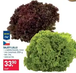 Makro SALÁTY LOLLO nabídka
