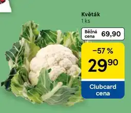 Tesco Květák nabídka