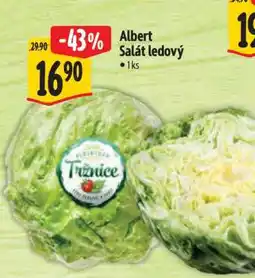 Albert Albert Salát ledový nabídka