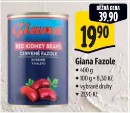 Albert Giana fazole nabídka