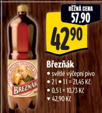 Albert Březňák nabídka