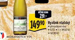 Albert Ryzlink vlašský nabídka
