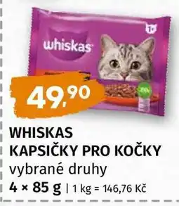 Terno Whiskas kapsičky pro kočky nabídka