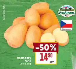 Billa Brambory rané nabídka