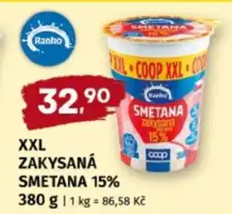 Terno XXL ZAKYSANÁ SMETANA 15% nabídka