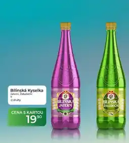 Tamda Foods Bílinská Kyselka Jaterni, žaludeční 11 nabídka