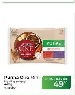 Tamda Foods Purina One Mini kapsičky pro psy nabídka