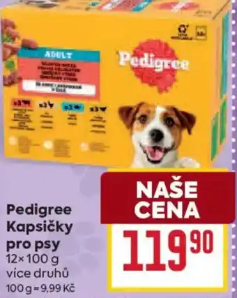 Billa Pedigree Kapsičky pro psy nabídka