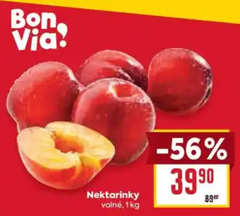 Billa Nektarinky nabídka