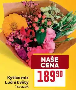 Billa Kytice mix Luční květy nabídka