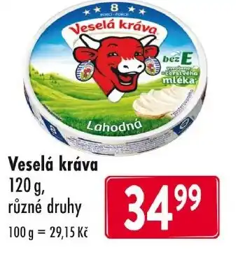 Qanto Veselá kráva nabídka