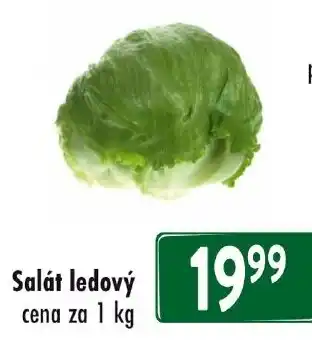Qanto Salát ledový nabídka