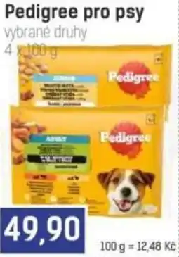 Konzum Pedigree pro psy nabídka