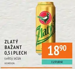 Coop hb Zlatý bažant plech světlý ležák nabídka