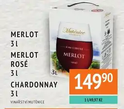 Coop hb Merlot nabídka