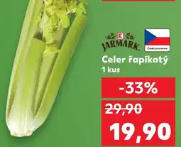 Kaufland Celer řapíkatý nabídka