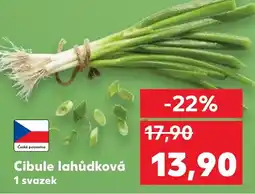 Kaufland Cibule lahůdková nabídka