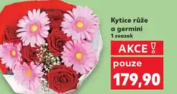 Kaufland Kytice růže a germini nabídka