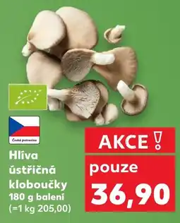 Kaufland Hlíva ústřičná kloboučky nabídka
