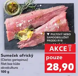 Kaufland Sumeček africký nabídka