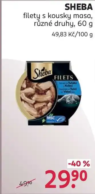 Rossmann Sheba nabídka