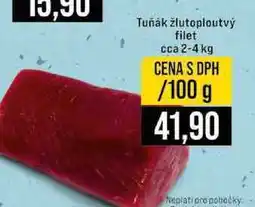 Jip Tuňák žlutoploutvý filet cca 2-4 kg 100g nabídka