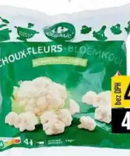 Jip Květák nabídka