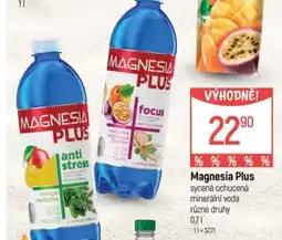 Globus Magnesia Plus nabídka