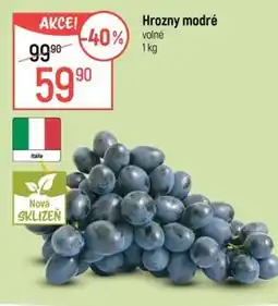 Globus Hrozny modré nabídka