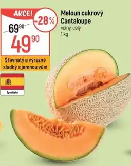 Globus Meloun cukrový Cantaloupe nabídka