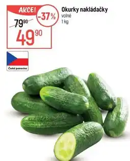Globus Okurky nakládačky nabídka