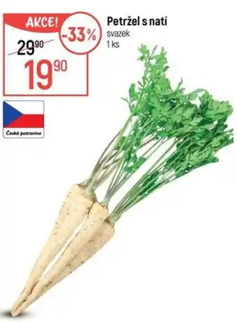Globus Petržel s natí nabídka