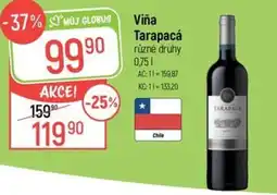 Globus Viña Tarapacá nabídka