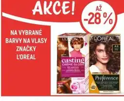 Globus Na vybrané barvy na vlasy značky L'Oreal nabídka