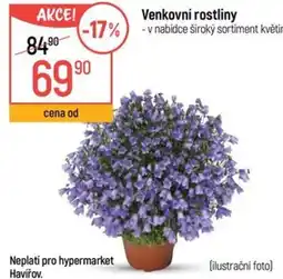 Globus Venkovní rostliny nabídka