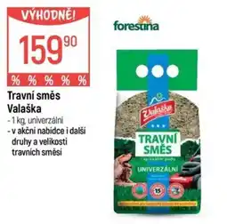 Globus Travní směs Valaška nabídka