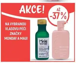 Globus Na vybranou vlasovu péči značky monday a Maui nabídka