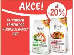 Globus Na vybrané krmivo pro hlodavce značky brit nabídka