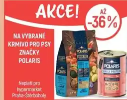 Globus Na vybrané krmivo pro psy značky polaris nabídka