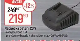 Globus Nabíječka baterií 20 V nabídka
